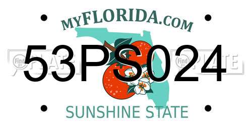 53PS024 Florida License Plate