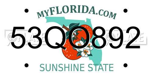 53QO892 Florida License Plate