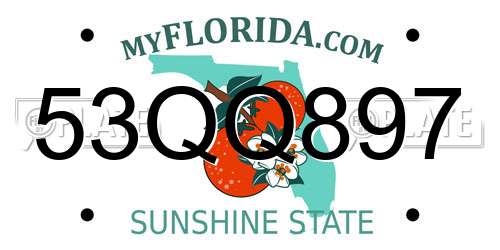 53QQ897 Florida License Plate