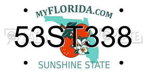 53ST338 Florida License Plate