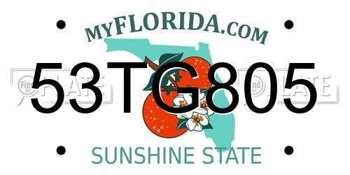 53TG805 Florida License Plate