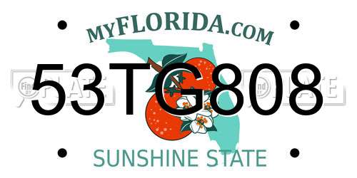 53TG808 Florida License Plate