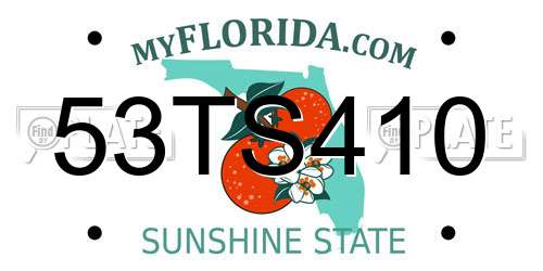 53TS410 Florida License Plate