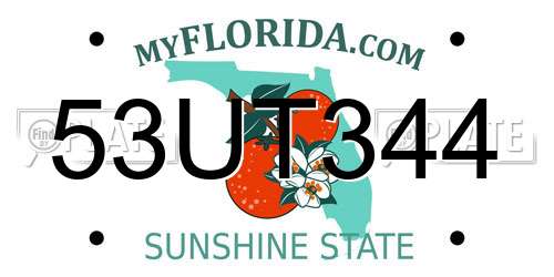53UT344 Florida License Plate