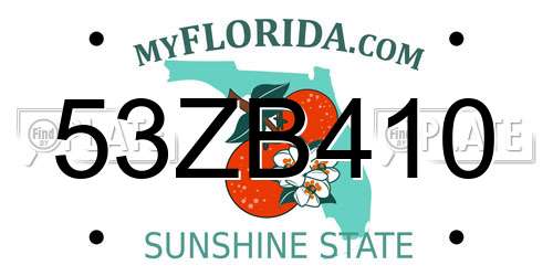53ZB410 Florida License Plate