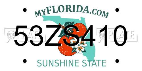 53ZS410 Florida License Plate
