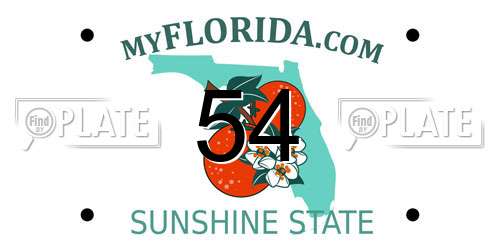 54 Florida License Plate