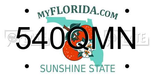 540QMN Florida License Plate