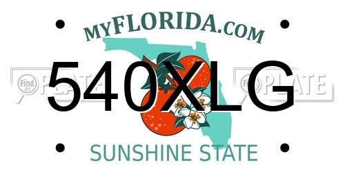 540XLG Florida License Plate