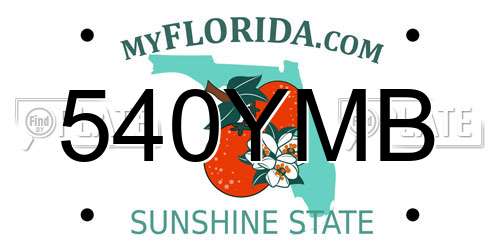 540YMB Florida License Plate