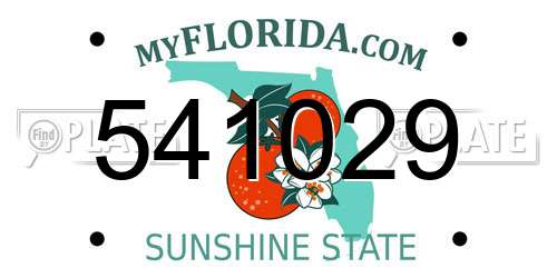 541029 Florida License Plate