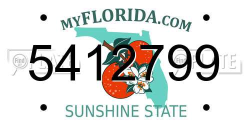 5412799 Florida License Plate