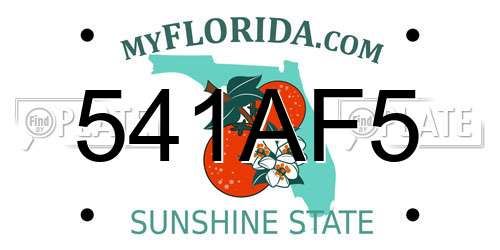 541AF5 Florida License Plate