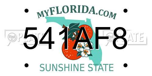 541AF8 Florida License Plate