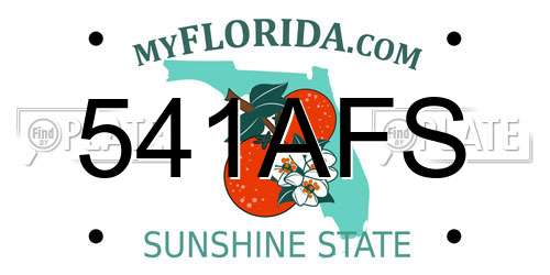 541AFS Florida License Plate