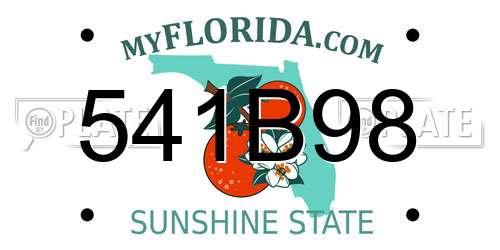 541B98 Florida License Plate
