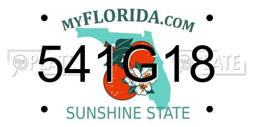 541G18 Florida License Plate