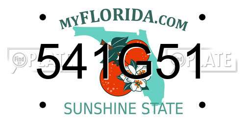 541G51 Florida License Plate