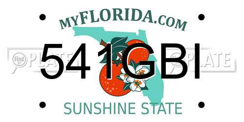 541GBI Florida License Plate