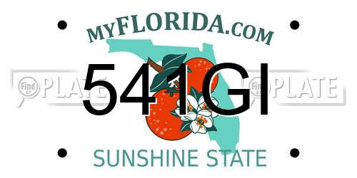 541GI Florida License Plate