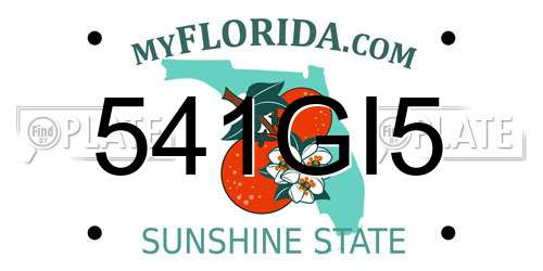 541GI5 Florida License Plate