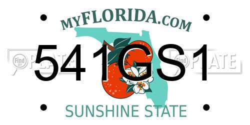 541GS1 Florida License Plate