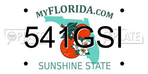 541GSI Florida License Plate
