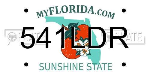 541LDR Florida License Plate