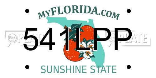541LPP Florida License Plate