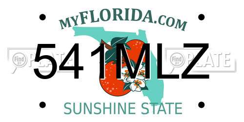 541MLZ Florida License Plate