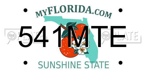 541MTE Florida License Plate