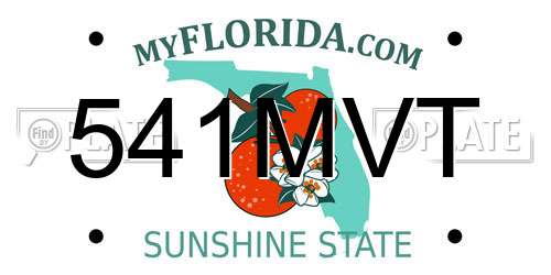 541MVT Florida License Plate