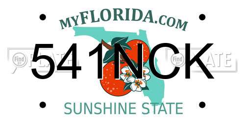 541NCK Florida License Plate