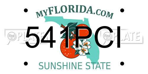 541PCI Florida License Plate
