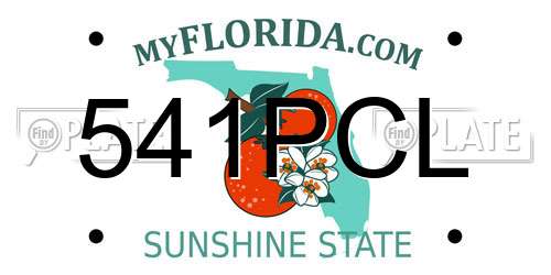 541PCL Florida License Plate