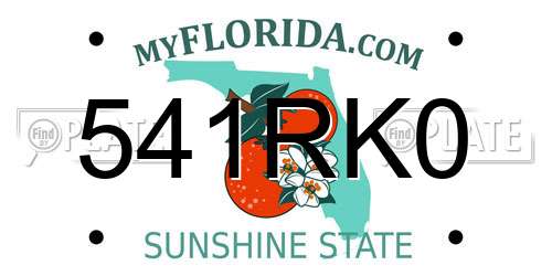 541RK0 Florida License Plate