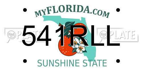 541RLL Florida License Plate