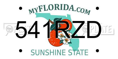 541RZD Florida License Plate