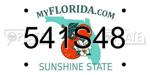 541S48 Florida License Plate