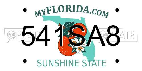 541SA8 Florida License Plate