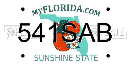 541SAB Florida License Plate
