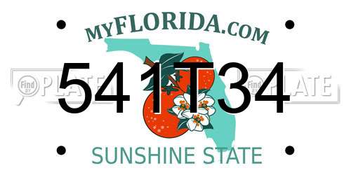 541T34 Florida License Plate