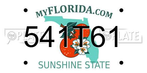 541T61 Florida License Plate