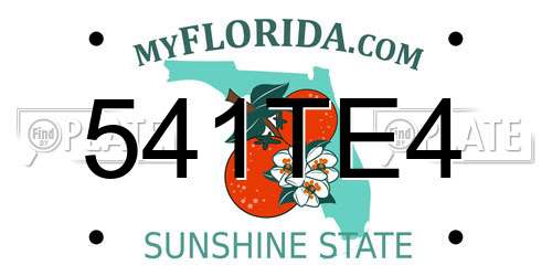 541TE4 Florida License Plate