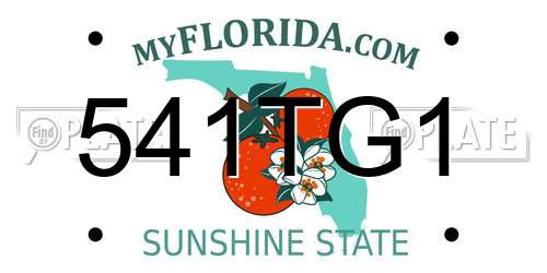 541TG1 Florida License Plate