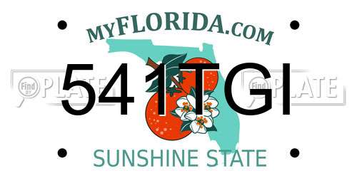 541TGI Florida License Plate