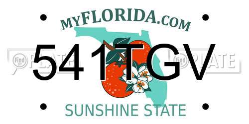 541TGV Florida License Plate