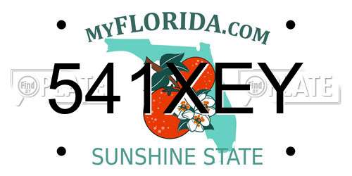 541XEY Florida License Plate