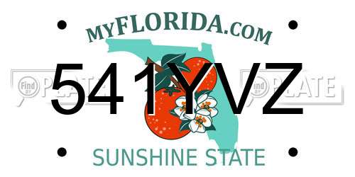 541YVZ Florida License Plate