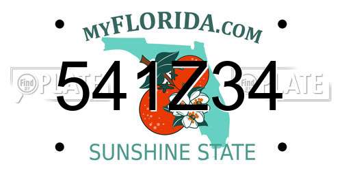 541Z34 Florida License Plate
